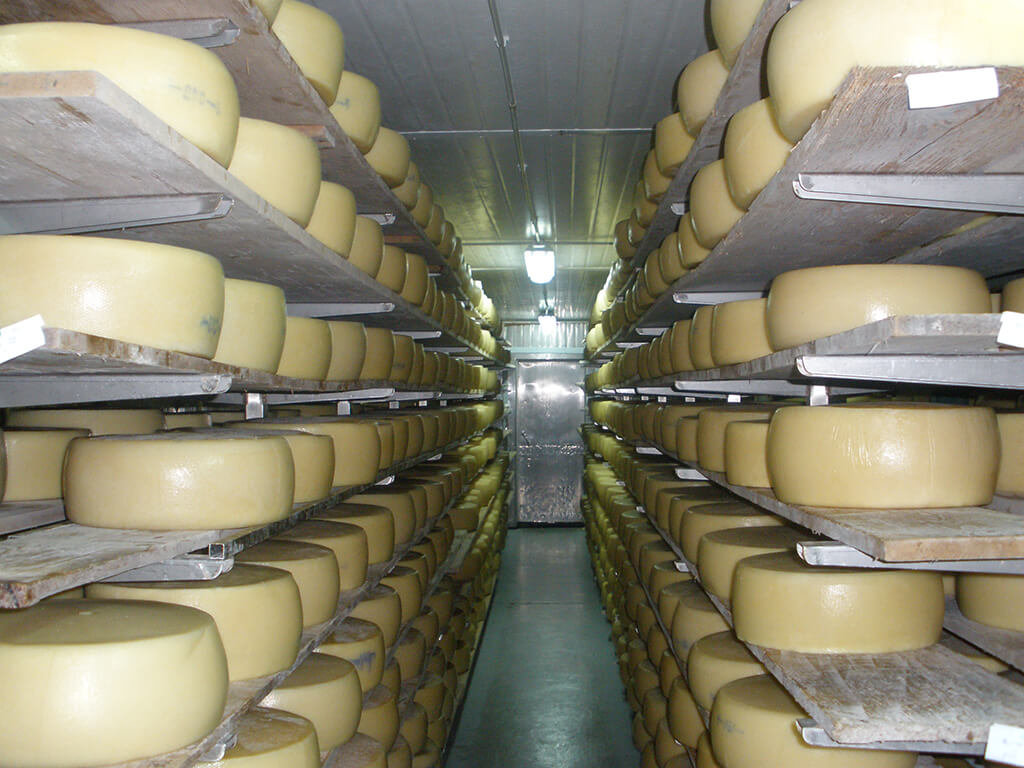 Tzourbaki Cheese